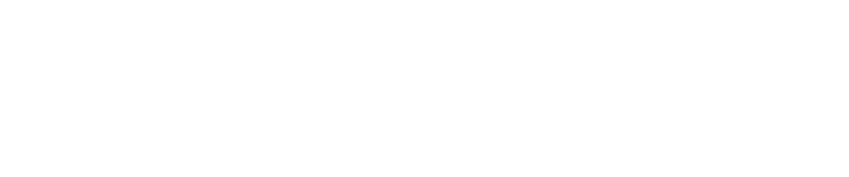MONOLEV